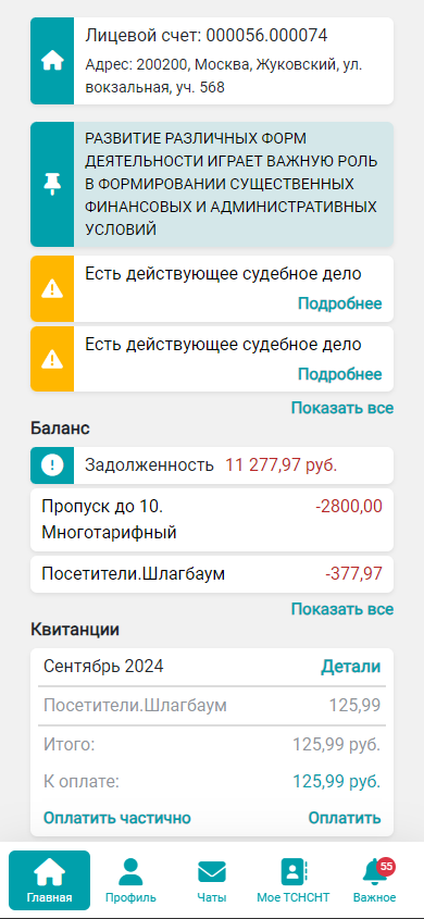 Интерфейс приложения ИНОМ